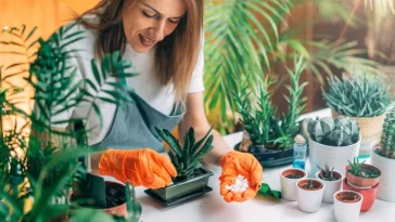 Idées De Jardinage Intérieur Pour Un Effet Waouh Immédiat